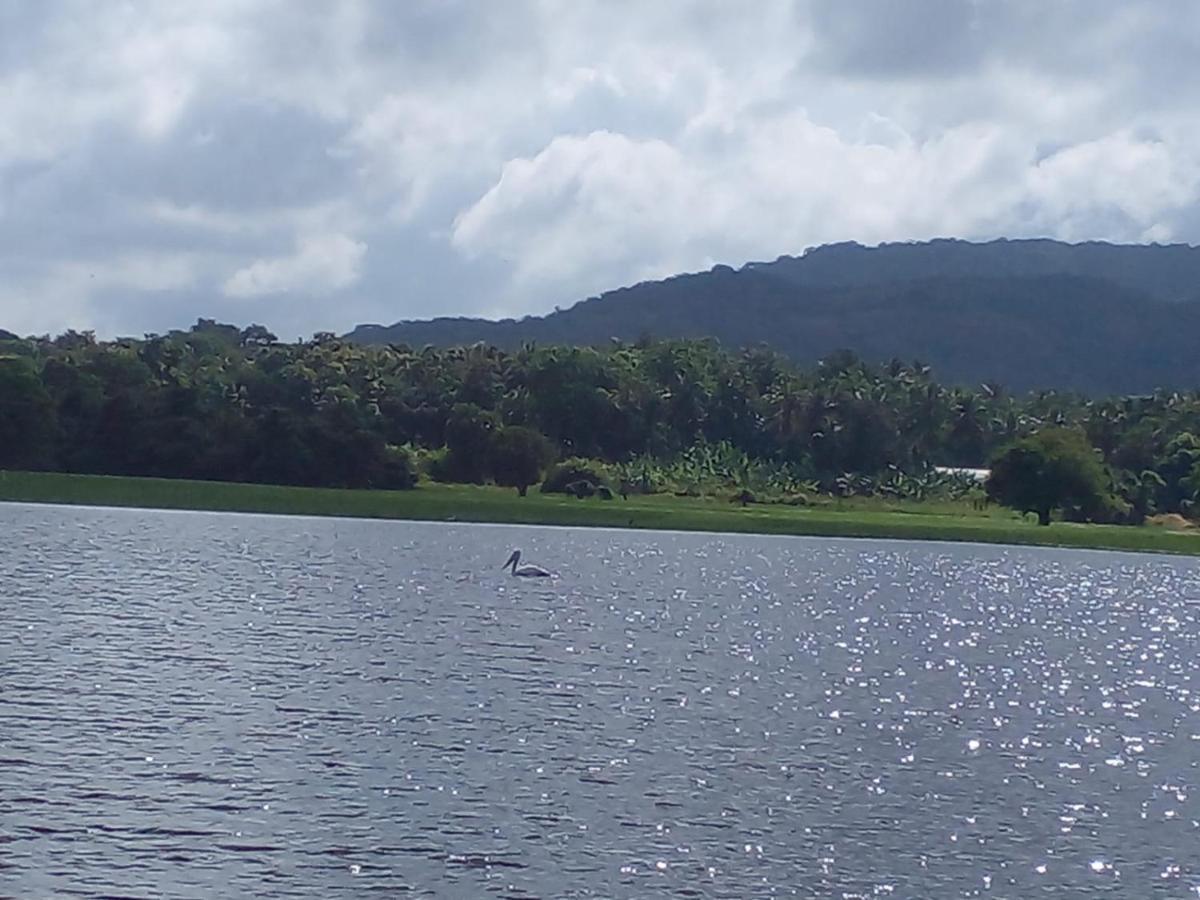 Lake Edge Dambulla Dış mekan fotoğraf