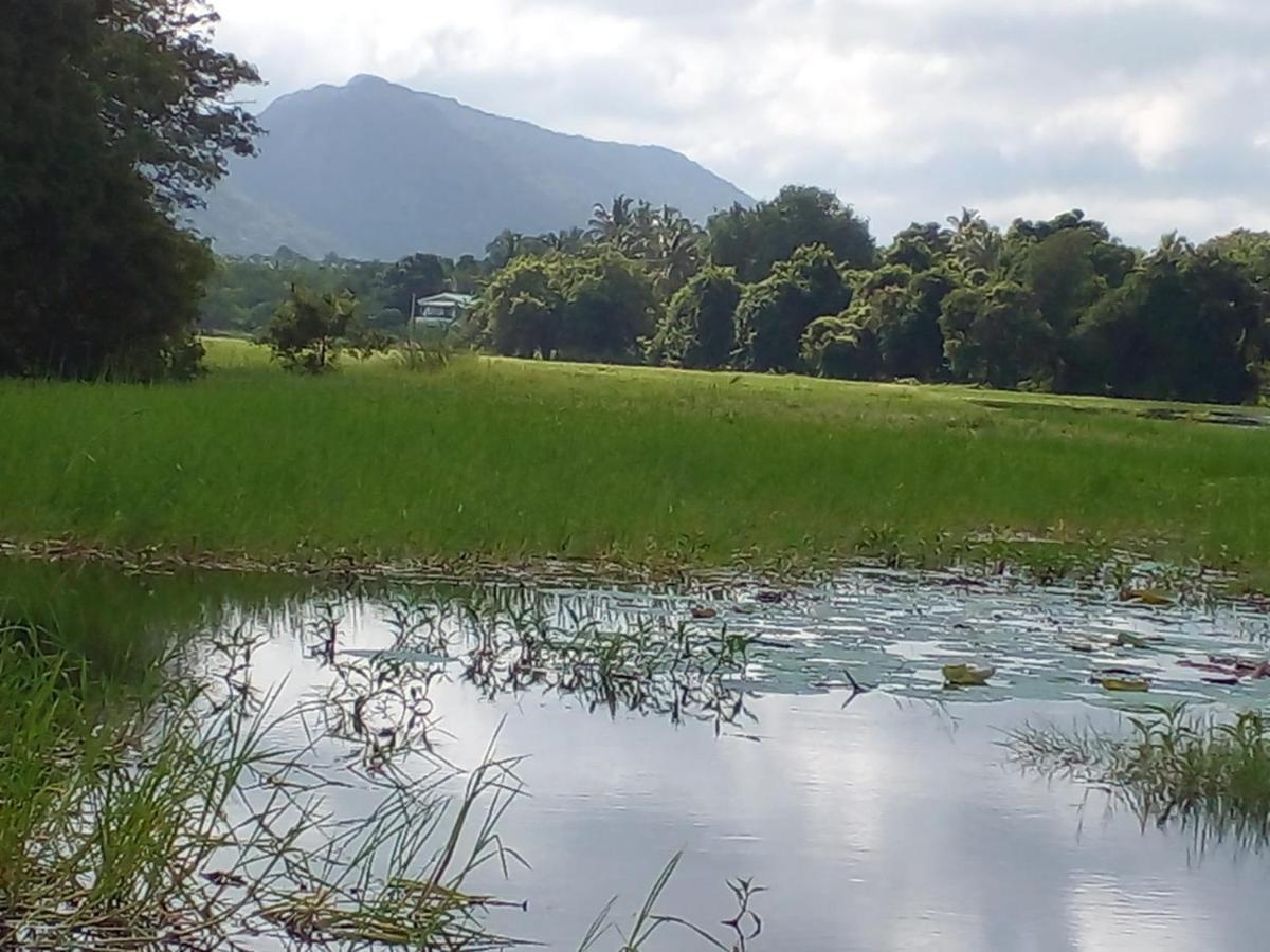 Lake Edge Dambulla Dış mekan fotoğraf