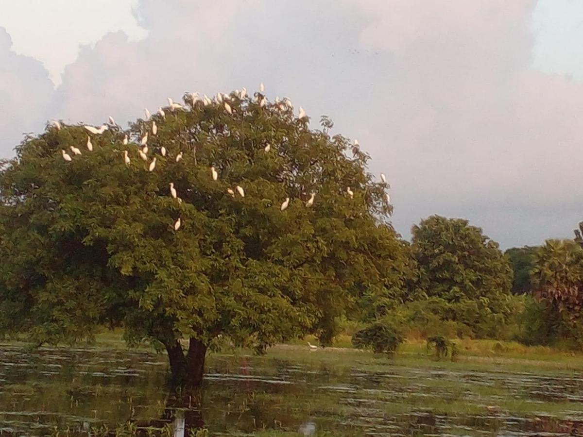 Lake Edge Dambulla Dış mekan fotoğraf