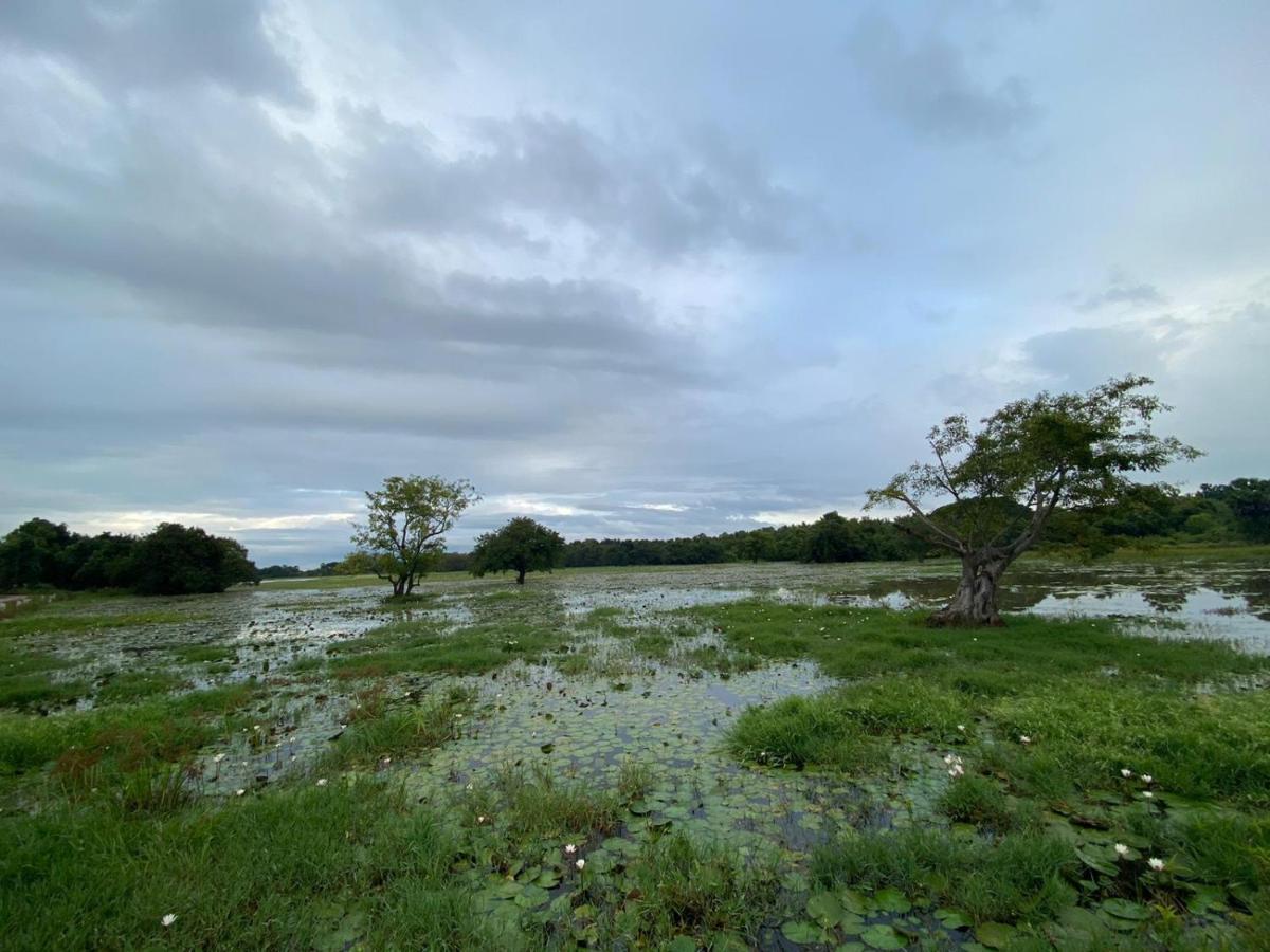 Lake Edge Dambulla Dış mekan fotoğraf